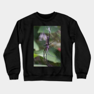 spider Crewneck Sweatshirt